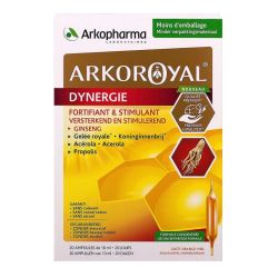 Arkoroyal Dynergie Amp 20