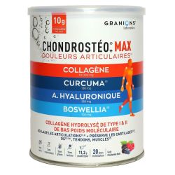 Granions Chondrosteo Max Collagene 226G