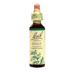 Fleurs De Bach Holly 20Ml