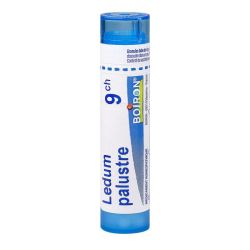 Ledum Palustre 9Ch Tg Boi