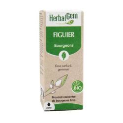 Herbalgem Macerat Figuier Bio 30Ml