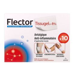 Flector Tissugel 1 Empl 10