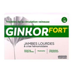 Ginkor Fort Jambes Lourdes Gel 60