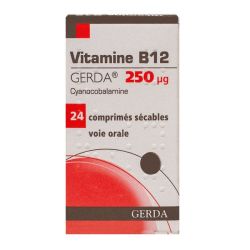 Vit B12 Gerda 250G Cp 24 Ocp