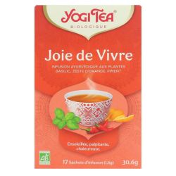 Yogi Tea Joie De Vivre Bio Sac 17