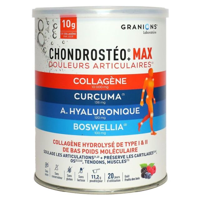 Granions Chondrosteo Max Collagene 226G
