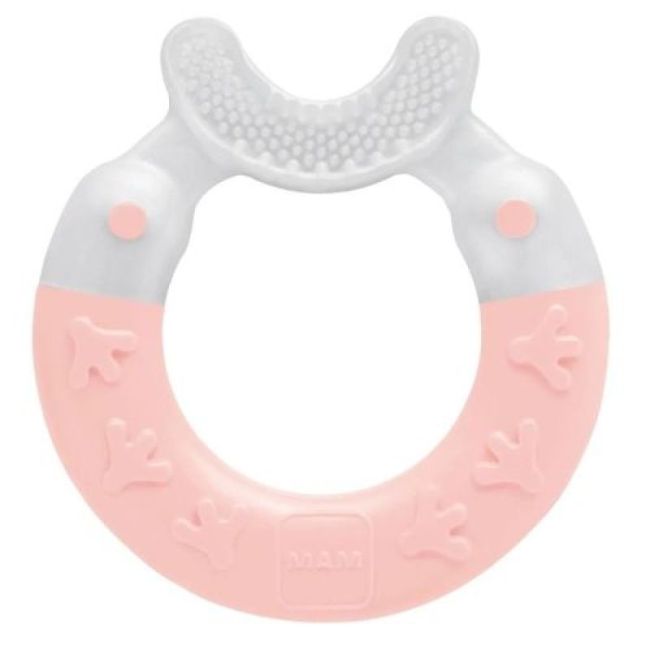 Anneau Dentition Mam Nettoyant