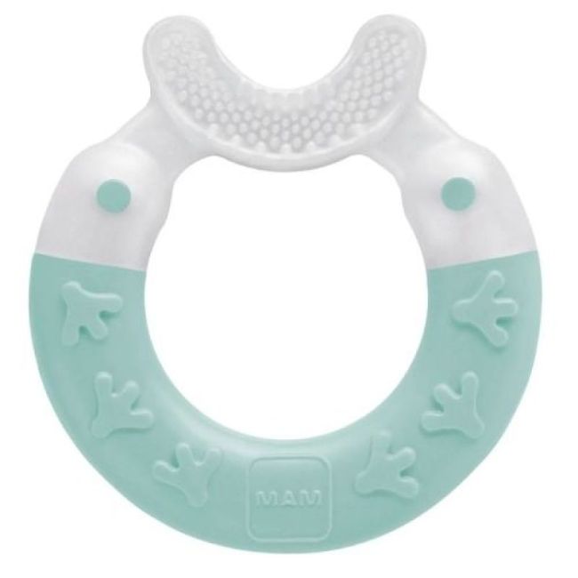 Anneau Dentition Mam Nettoyant