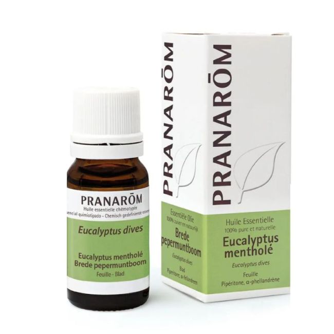 Pranarom H E Eucalyp Men 10Ml1