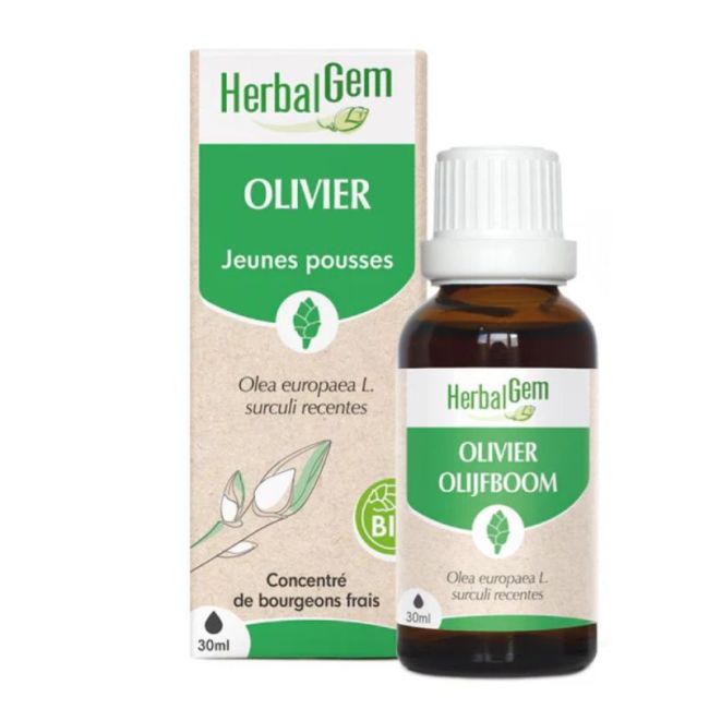 Herbalgem Macerat Olivier Bio 30Ml