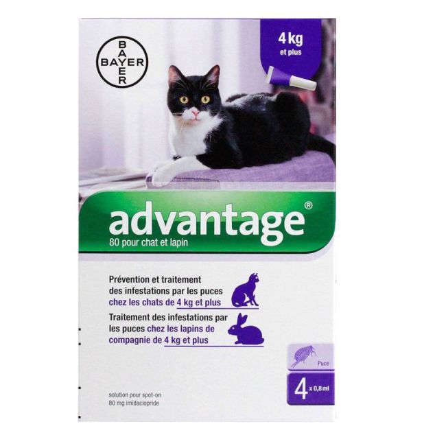 Advantage 80 Chat Lapin 4Kg 0,8Mlx4