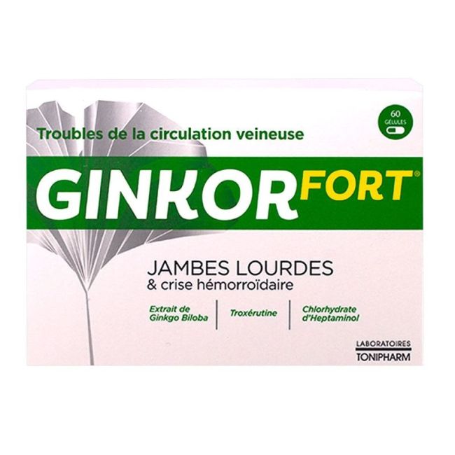 Ginkor Fort Jambes Lourdes Gel 60