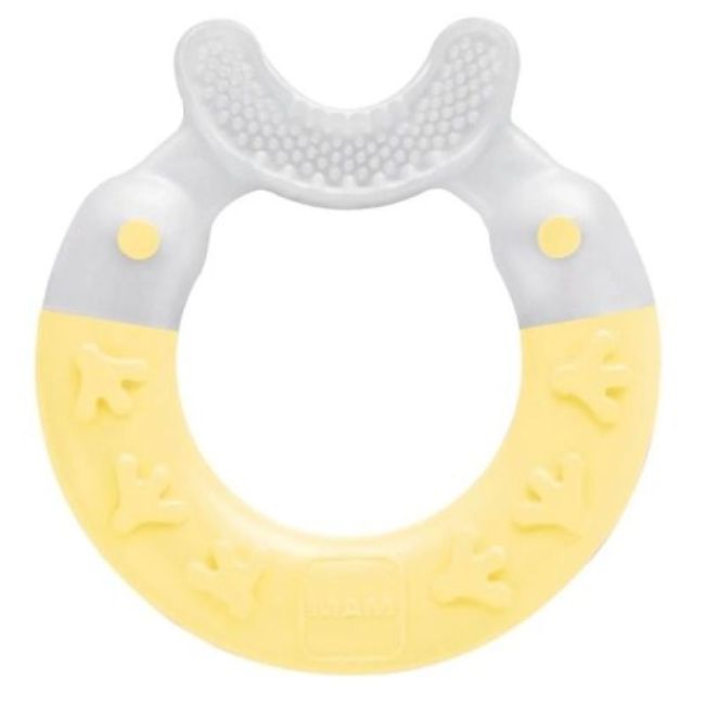 Anneau Dentition Mam Nettoyant