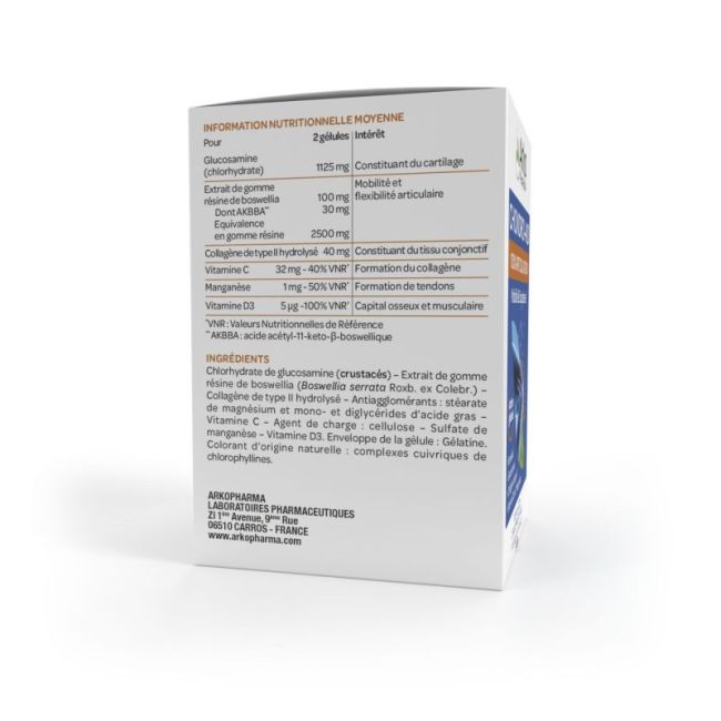 Chondro-Aid 100 Articul Gelul 60